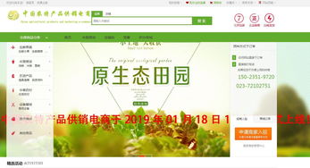 互聯(lián)網(wǎng)信息服務驅(qū)動下的農(nóng)特產(chǎn)品電商新模式探析